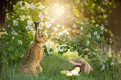 (Bild: #416285083 von Photo-SD – Adobe Stock)